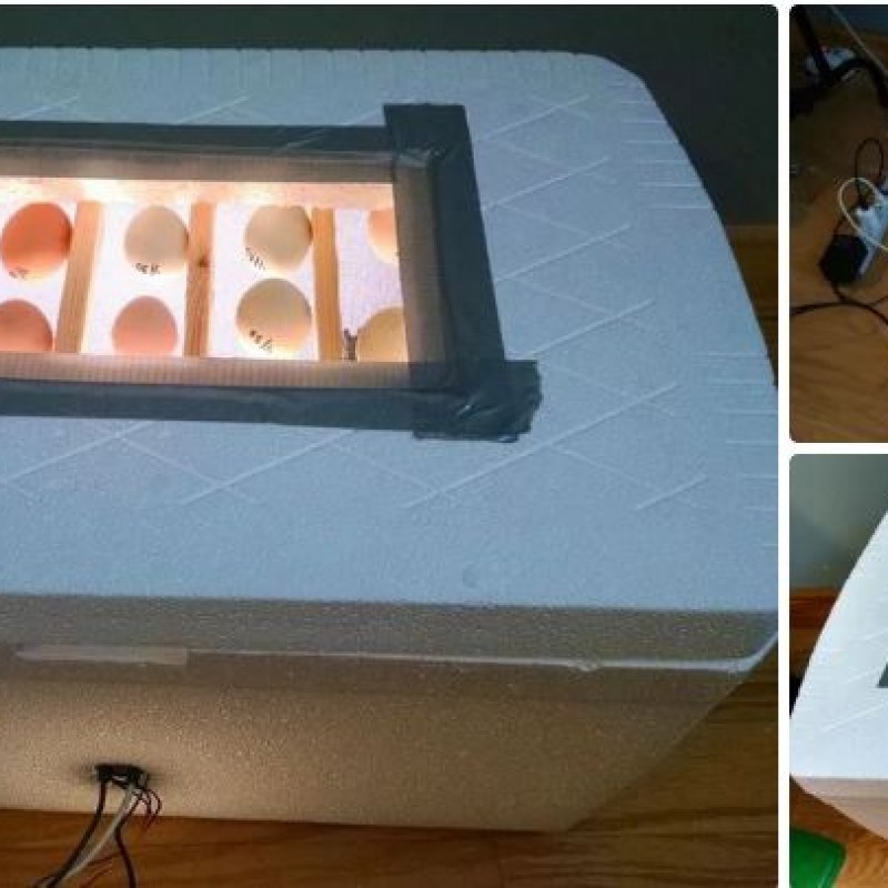 Tự làm máy ấp trứng với Arduino