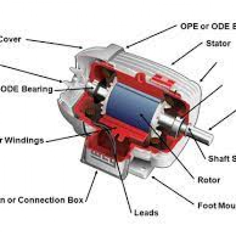 Động cơ một chiều (DC motors)